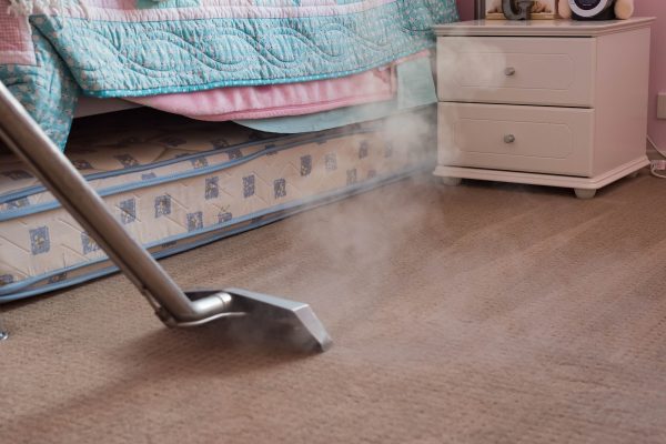 Carpet Cleaning Responsibilities